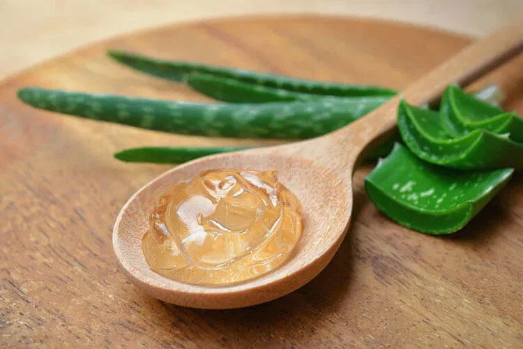 peclavus_wellness_Aloe_Vera_Feuchtigkeitsgel